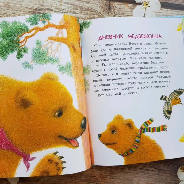 Цыферов про цыпленка солнце и медвежонка