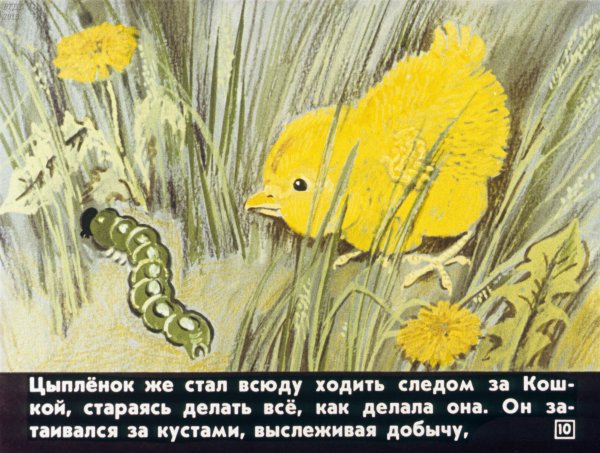 У солнышка в гостях