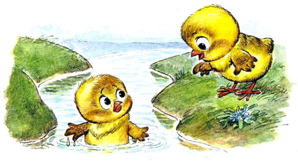 Цыпленок для детей