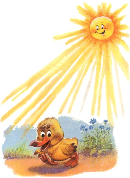 Цыплята мультяшные