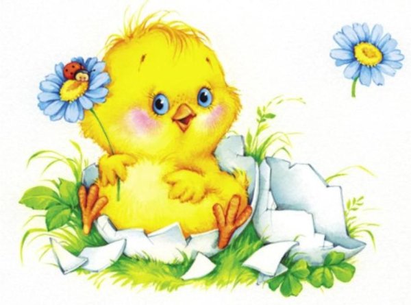 Детская книжка с секретом про цыпленка