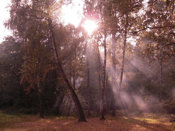 Лучи солнца