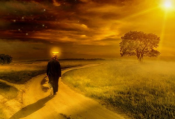 Девушка в поле