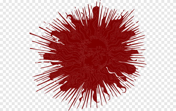 Закат на белом фоне