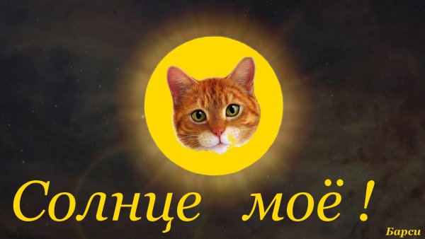 Солнышко моё