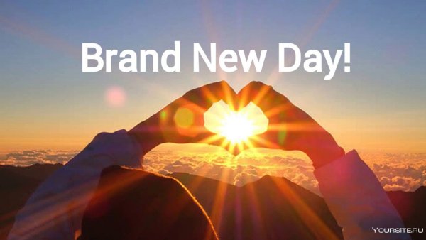 Сердце в руках