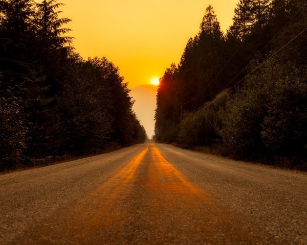 Дорога лес закат