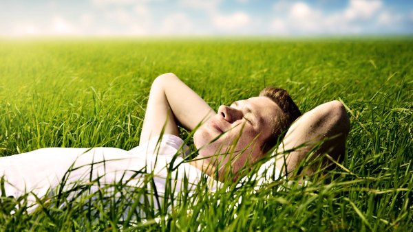 Девушка на Поляне с цветами