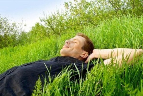 Природа летом