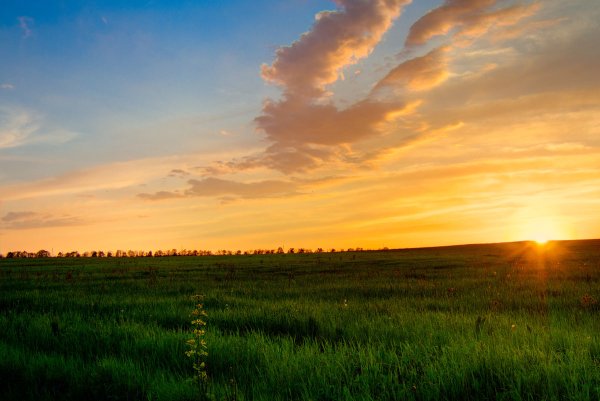 Небо закат поле