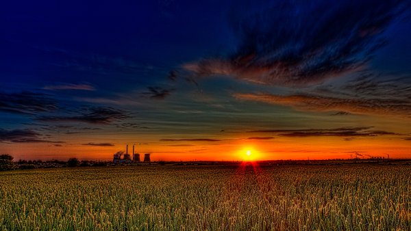 Закат в поле