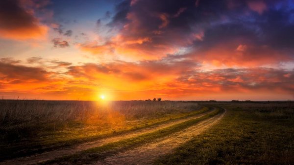 Закат в поле