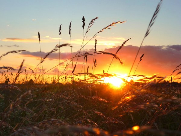 Красивый закат в поле