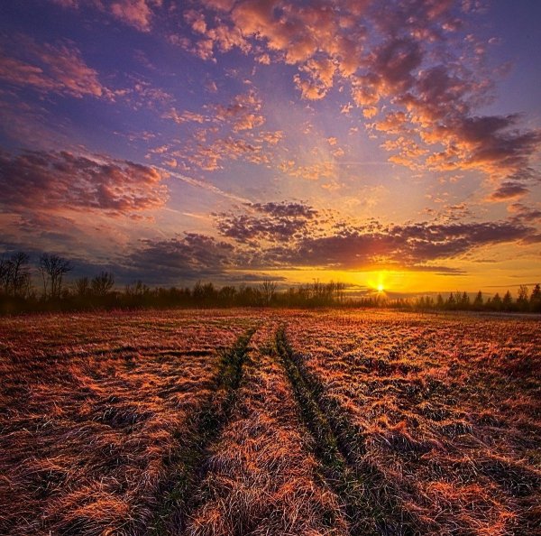 Поле вечером