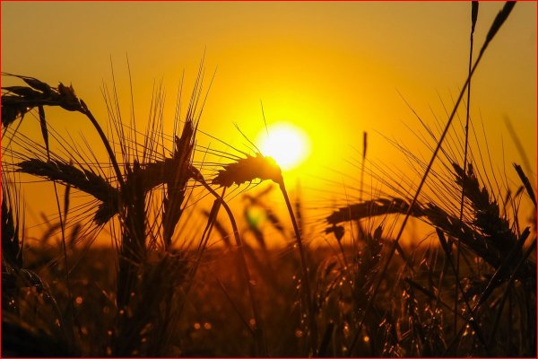 Поле в деревне закат