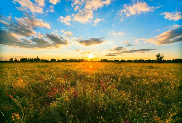 На Восходе солнца