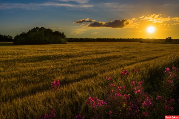 Летний закат