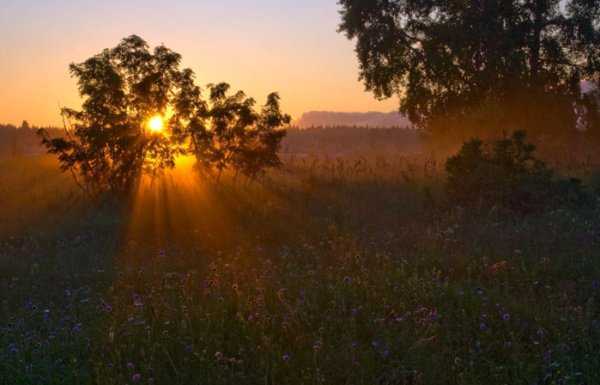 Солнце встает в деревне