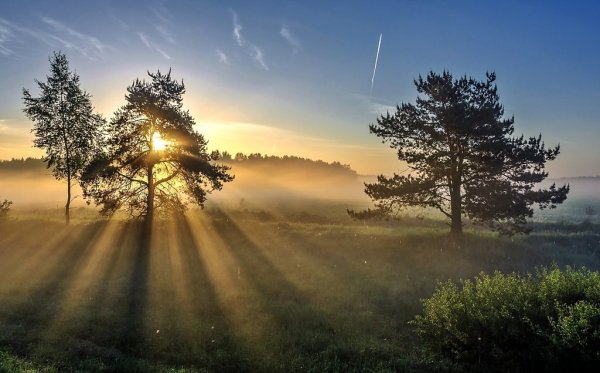 Обои на рабочий стол рассвет
