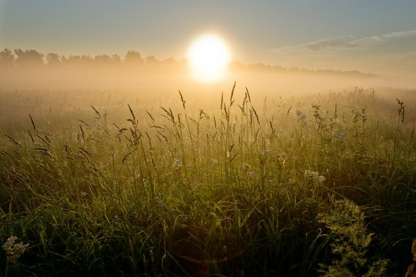 Утреннее солнце