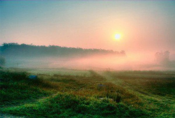 Туман на заре