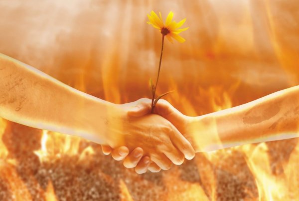 Теплые руки