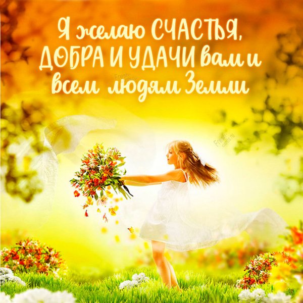 Солнце счастье радость