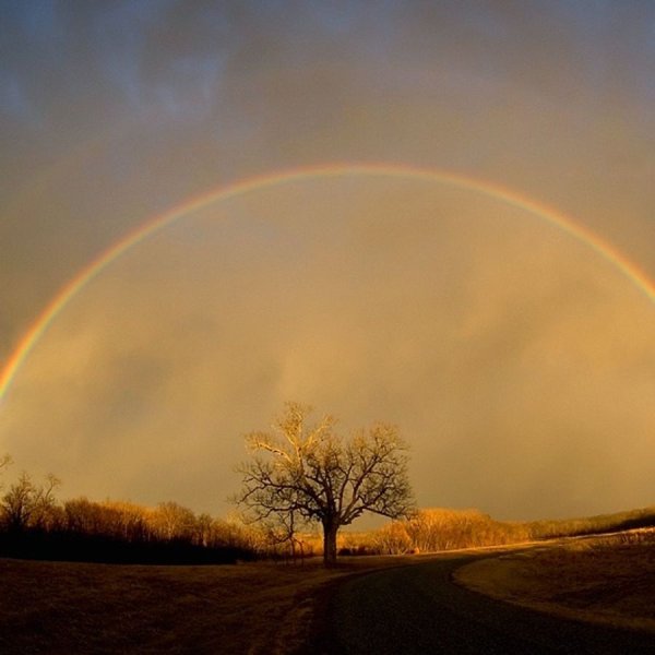 Рыжее солнце