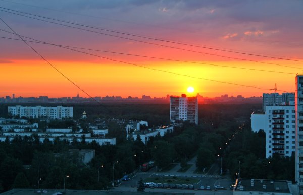 Летнее утро
