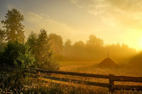 Природа летом рассвет