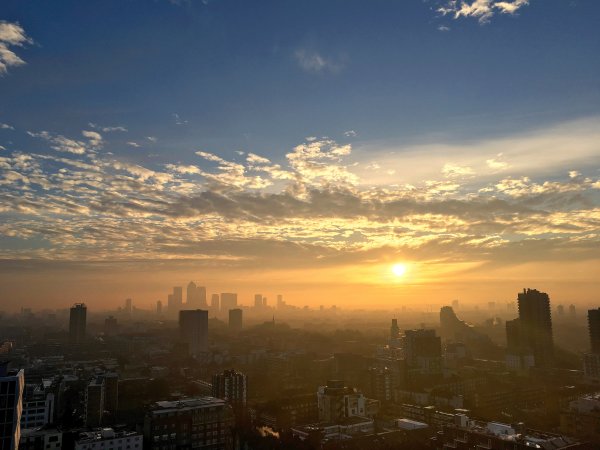 Солнечные лучи в поле