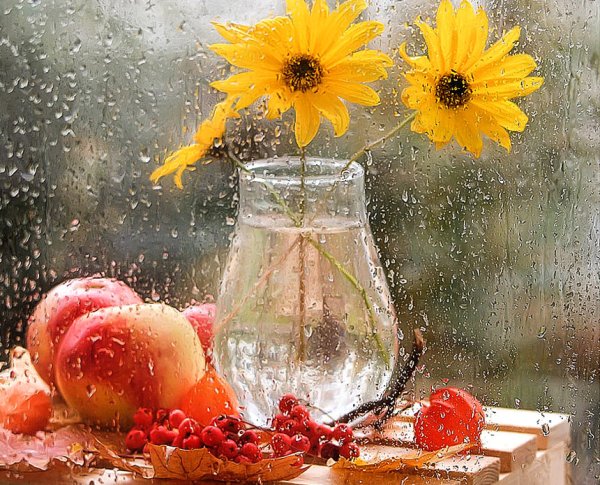 Пасмурное летнее утро