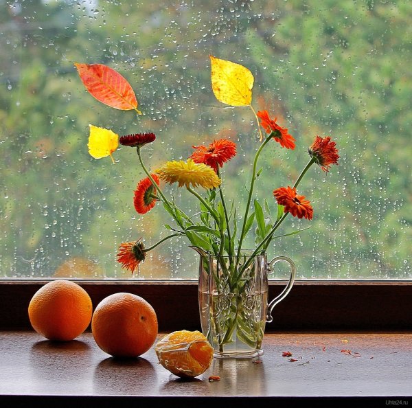 Дождливый летний день