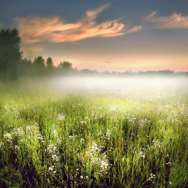 Открытки с летним дождиком