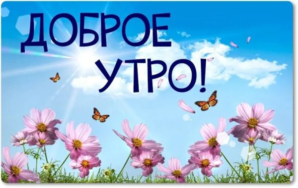 Доброе утро солнышко