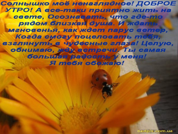 Доброе утро солнышко моё ненаглядное