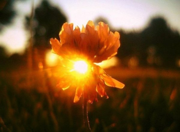 Рассвет души