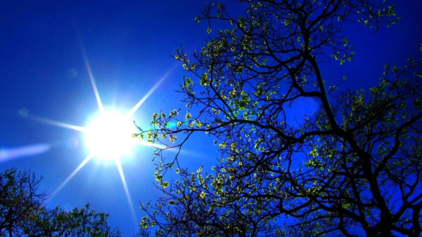 Неживая природа солнце