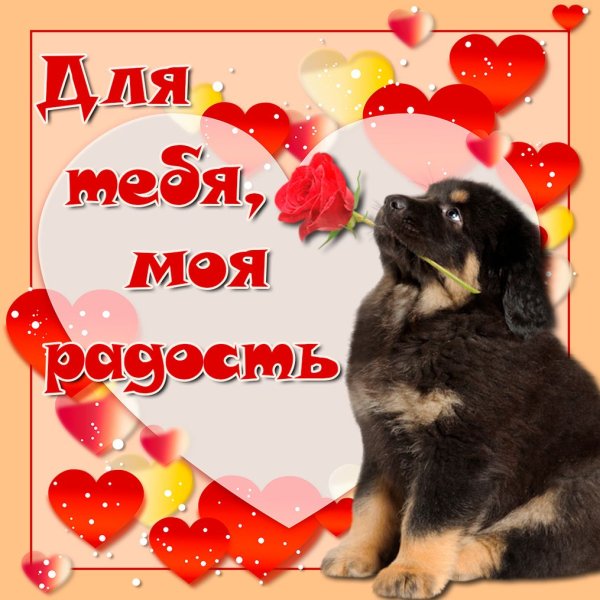 Люблю тебя солнышко