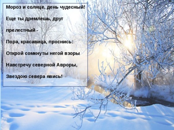 Зимнее утро Пушкин