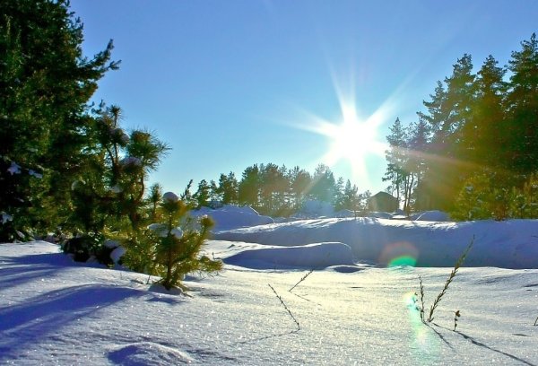 Стихотворение зима и солнце день чудесный