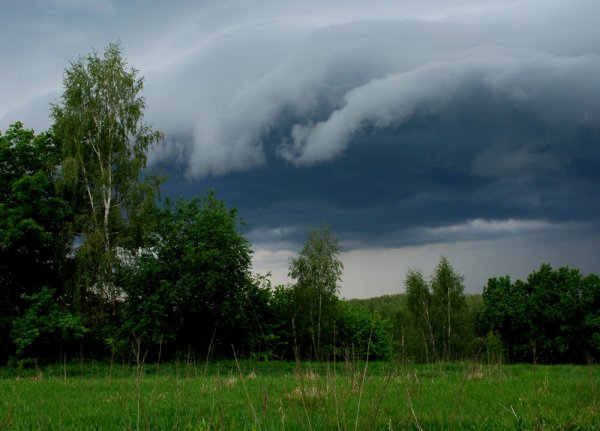 Туча хмурится