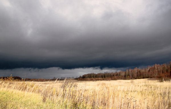 Туча отступает