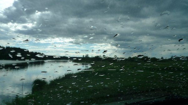 Дождь анимация