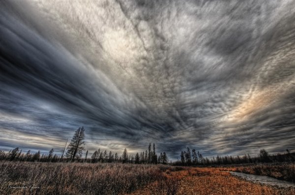 Серое осеннее небо