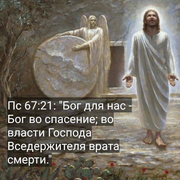 Природа с Цитатами из Библии