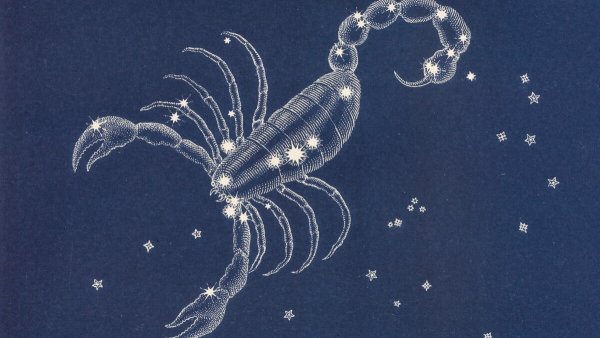 Созвездие Scorpius