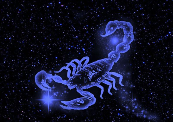 Лучшие друзья для скорпиона