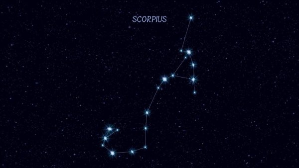 Созвездие Скорпиус