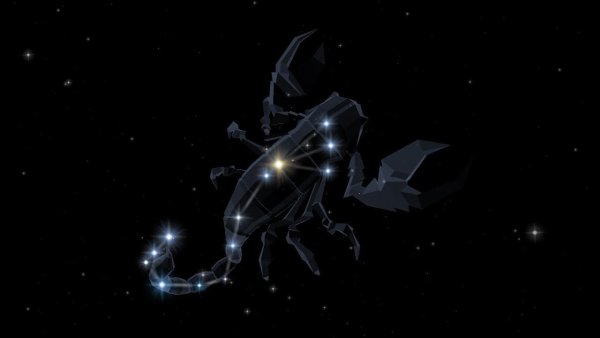 Scorpio Созвездие